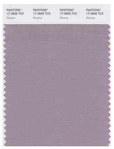 Pantone Smart 17-3808 TCX Color Swatch Card | Nirvana 