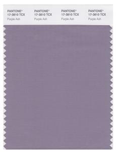 Pantone Smart 17-3810 TCX Color Swatch Card | Purple Ash 