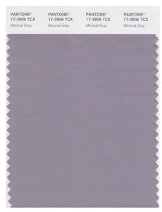 Pantone Smart 17-3906  TCX Color Swatch Card | Minimal Gray 