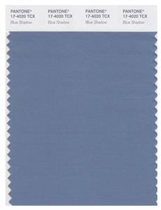 Pantone Smart 17-4020 TCX Color Swatch Card | Blue Shadow 