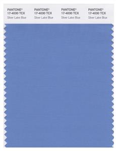 Pantone Smart 17-4030 TCX Color Swatch Card | Silver Lake BLue 