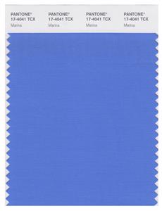 Pantone Smart 17-4041 TCX Color Swatch Card | Marina 