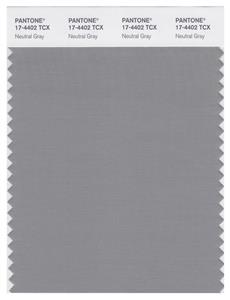 Pantone Smart 17-4402 TCX Color Swatch Card | Neutral Gray 