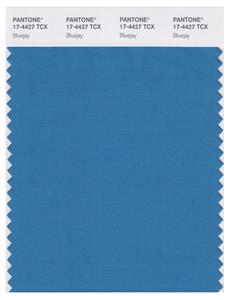 Pantone Smart 17-4427 TCX Color Swatch Card | Bluejay 