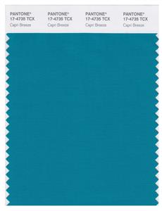 Pantone Smart 17-4735 TCX Color Swatch Card | Capri Breeze 