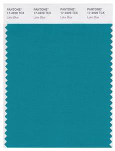 Pantone Smart 17-4928 TCX Color Swatch Card | Lake Blue 