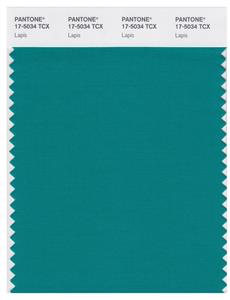 Pantone Smart 17-5034 TCX Color Swatch Card | Lapis 