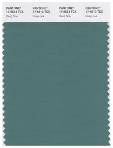 Pantone Smart 17-5513 TCX Color Swatch Card | Deep Sea 