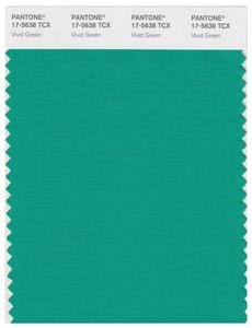 Pantone Smart 17-5638 TCX Color Swatch Card | Vivid Green 