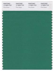 Pantone Smart 17-5923 TCX Color Swatch Card | Pine Green 