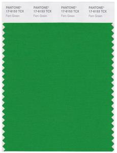 Pantone Smart 17-6153 TCX Color Swatch Card | Fern Green 