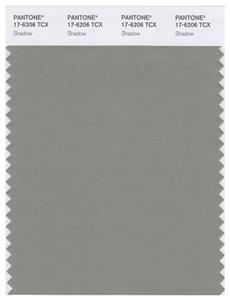 Pantone Smart 17-6206 TCX Color Swatch Card | Shadow 