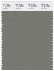 Pantone Smart 17-6212 TCX Color Swatch Card | Sea Spray 