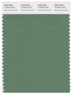 Pantone Smart 17-6219 TCX Color Swatch Card | Deep Grass Green 