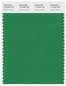 Pantone Smart 17-6229 TCX Color Swatch Card | Medium Green 