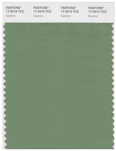 Pantone Smart 17-6319 TCX Color Swatch Card | Kashmir 