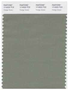 Pantone Smart 17-6323 TCX Color Swatch Card | Hedge Green 