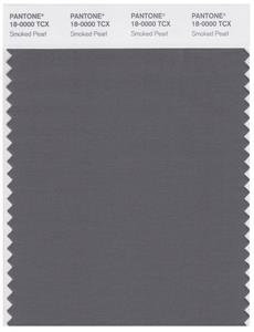 Pantone Smart 18-0000 TCX Color Swatch Card | Smoked Pearl 