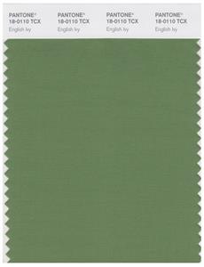 Pantone Smart 18-0110 TCX Color Swatch Card | English Ivy 