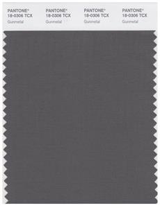 Pantone Smart 18-0306 TCX Color Swatch Card | Gunmetal 