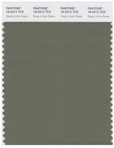 Pantone Smart 18-0312 TCX Color Swatch Card | Deep Lichen Green 