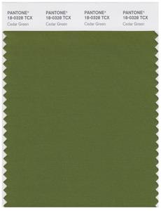 Pantone Smart 18-0328 TCX Color Swatch Card | Cedar Green 