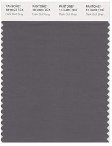 Pantone Smart 18-0403 TCX Color Swatch Card | Dark Gull Gray 