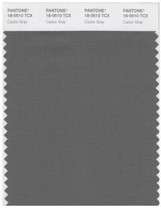 Pantone Smart 18-0510 TCX Color Swatch Card | Castor Gray 