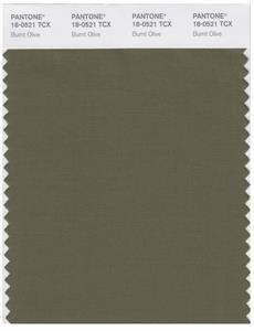 Pantone Smart 18-0521 TCX Color Swatch Card | Burnt Olive 