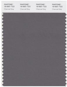 Pantone Smart 18-0601 TCX Color Swatch Card | Charcoal Gray 