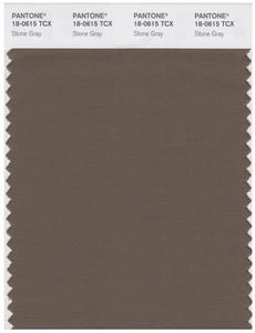 Pantone Smart 18-0615 TCX Color Swatch Card | Stone Gray 