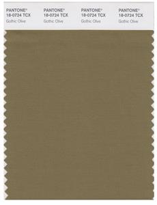 Pantone Smart 18-0724 TCX Color Swatch Card | Gothic Olive 