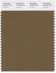 Pantone Smart 18-0920 TCX Color Swatch Card | Kangaroo 