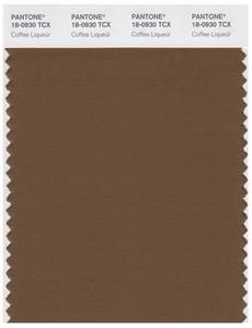 Pantone Smart 18-0930 TCX Color Swatch Card | Cofee Liqeur 