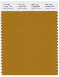 Pantone Smart 18-0935 TCX Color Swatch Card | Buckhorn Brown 