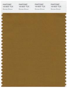 Pantone Smart 18-0937 TCX Color Swatch Card | Bronze Brown 