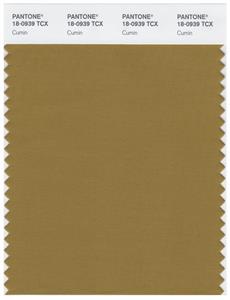 Pantone Smart 18-0939 TCX Color Swatch Card | Cumin 