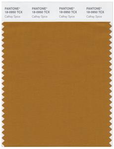 Pantone Smart 18-0950 TCX Color Swatch Card | Cathay Spice 