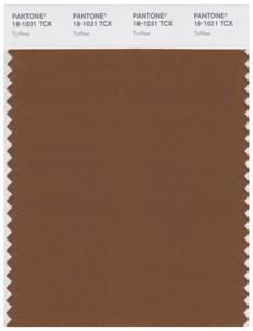 Pantone Smart 18-1031 TCX Color Swatch Card | Toffee 