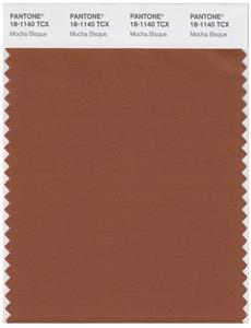 Pantone Smart 18-1140 TCX Color Swatch Card | Mocha Bisque 