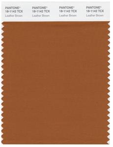 Pantone Smart 18-1142 TCX Color Swatch Card | Leather Brown 