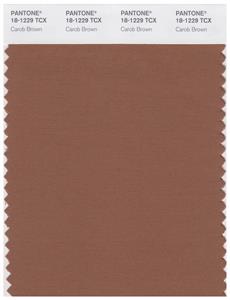 Pantone Smart 18-1229 TCX Color Swatch Card | Carob Brown 