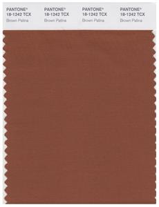 Pantone Smart 18-1242 TCX Color Swatch Card | Brown Patina 