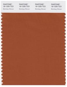 Pantone Smart 18-1250 TCX Color Swatch Card | Bombay Brown 