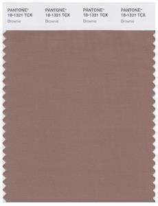 Pantone Smart 18-1321 TCX Color Swatch Card | Brownie 