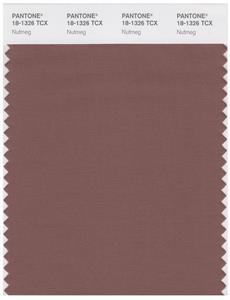 Pantone Smart 18-1326 TCX Color Swatch Card | Nutmeg 