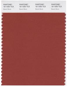 Pantone Smart 18-1350 TCX Color Swatch Card | Burnt Brick 