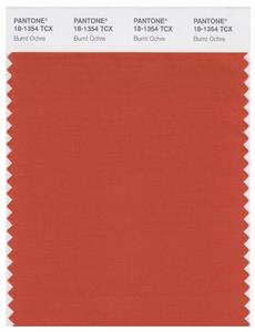 Pantone Smart 18-1354 TCX Color Swatch Card | Burnt Ochre 