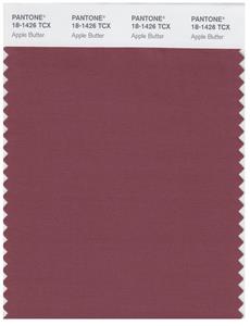 Pantone Smart 18-1426 TCX Color Swatch Card | Apple Butter 