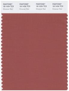 Pantone Smart 18-1434 TCX Color Swatch Card | Etruscan Red 